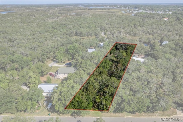 11681 W N Pl, Homosassa, FL 34448