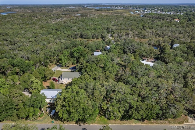 11681 W N Pl, Homosassa FL, 34448 land for sale