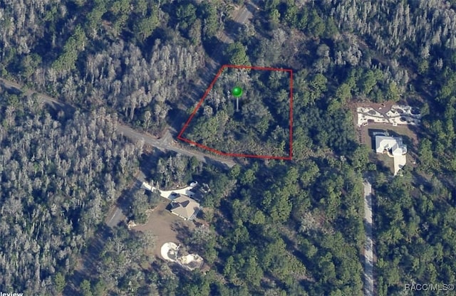 11366 W Dragonhead Dr, Crystal River FL, 34428 land for sale