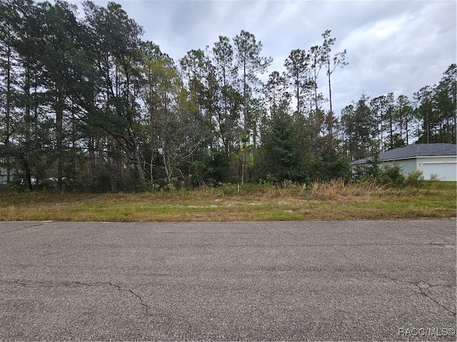 10935 N Robert Dean Way, Citrus Springs FL, 34434 land for sale