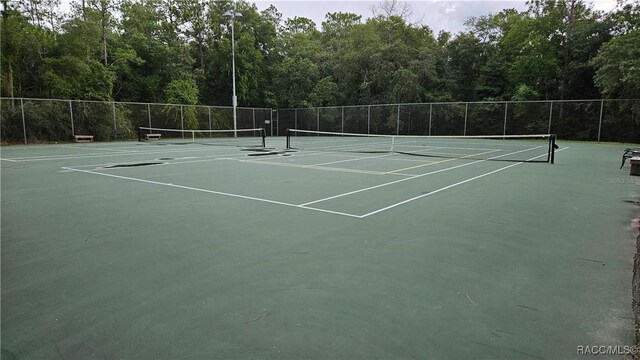 10147 N Dyal Dr, Citrus Springs, FL 34434