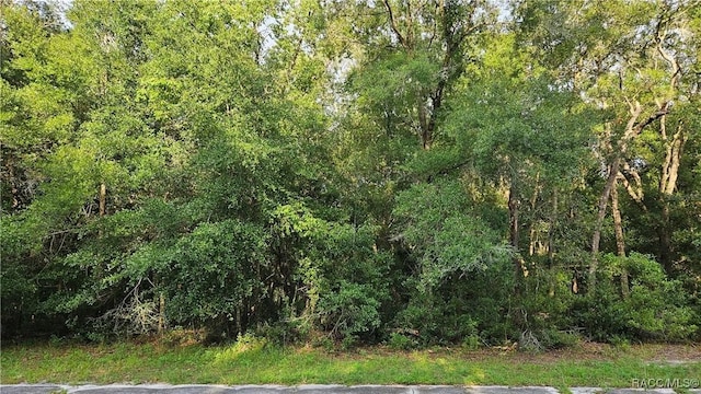 10147 N Dyal Dr, Citrus Springs, FL 34434