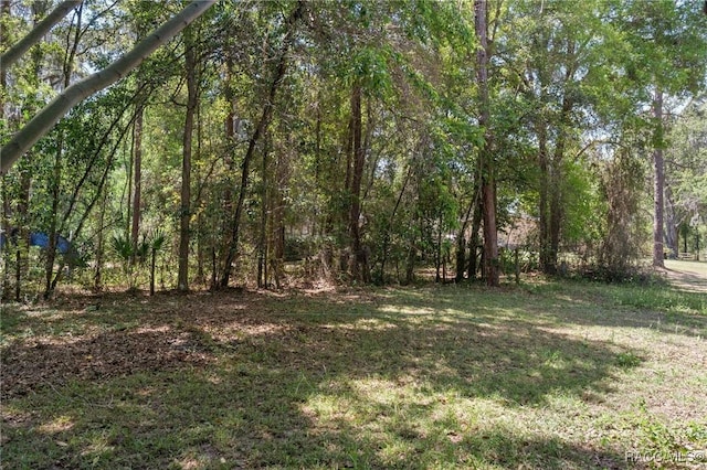 view of yard featuring a wooded view