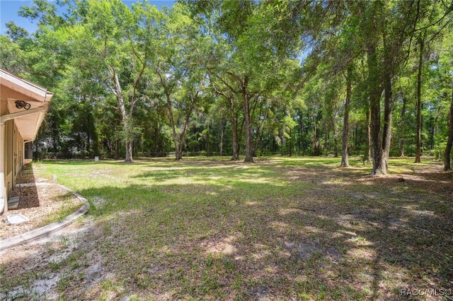 2900 W Sunrise St, Lecanto, FL 34461 - photo 35