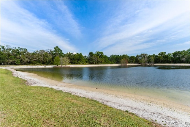 8638 Chadwick Dr, Tampa, FL 33635 - water view with a forest