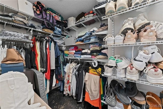 8638 Chadwick Dr, Tampa, FL 33635 - view of spacious closet