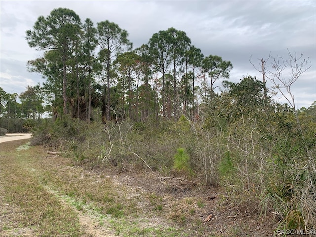 00 153rd Ter, Cedar Key FL, 32625 land for sale