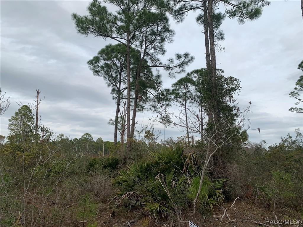 00 153rd Ter, Cedar Key, FL 32625 - photo 3