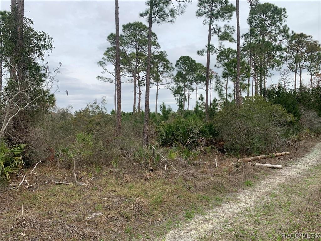 00 153rd Ter, Cedar Key, FL 32625 - photo 2