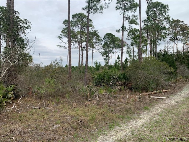 00 153rd Ter, Cedar Key, FL 32625 - photo 2