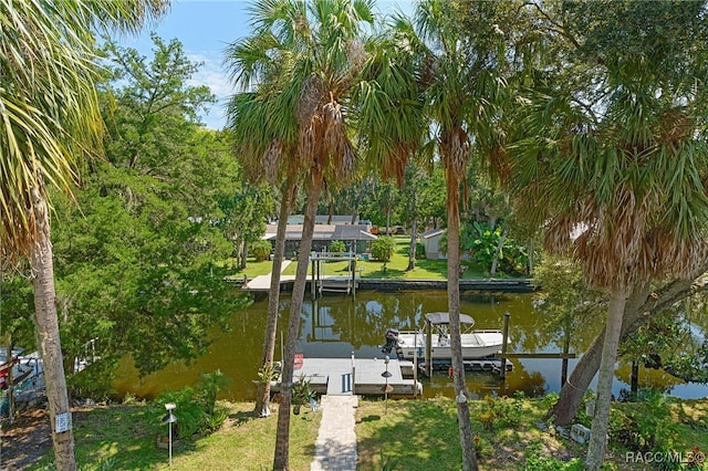 dock area with a water view