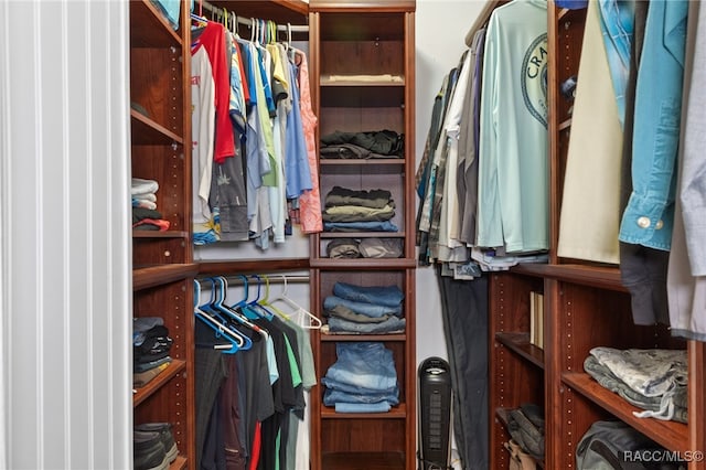 view of walk in closet