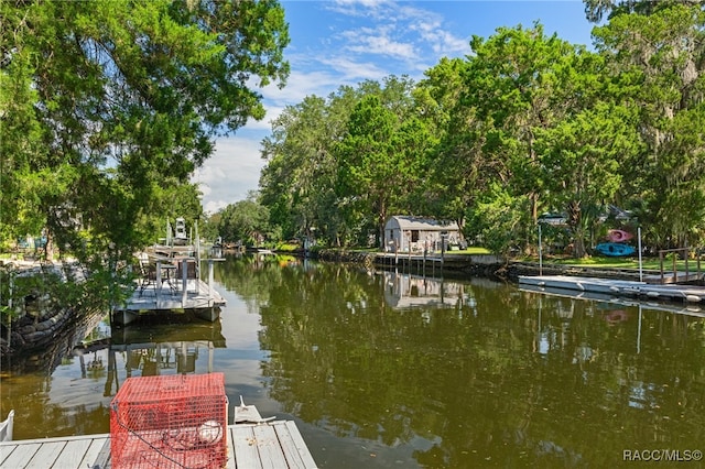 dock area with a water view