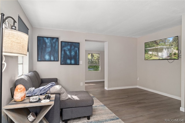 living area with wood-type flooring