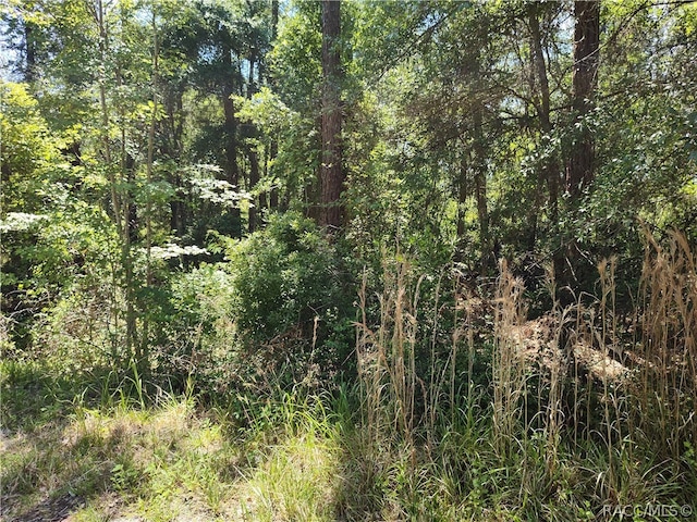 Listing photo 2 for 0000 NE 66th Ave, Citra FL 32113