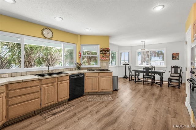 kitchen featuring a sink, black dishwasher, a textured ceiling, and a wealth of natural light