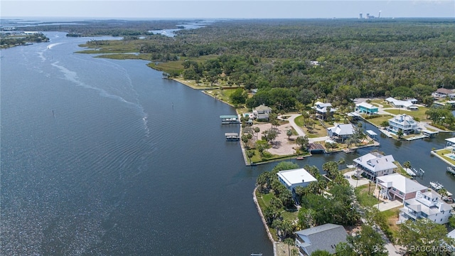 drone / aerial view with a water view and a wooded view