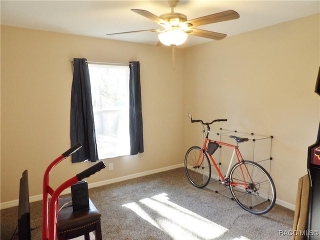 workout room featuring ceiling fan and carpet floors