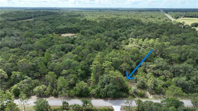 12196 W Bluebell Dr, Crystal River, FL 34428