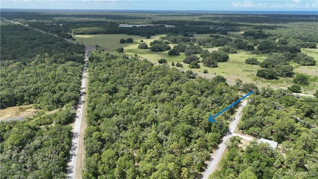 12196 W Bluebell Dr, Crystal River, FL 34428