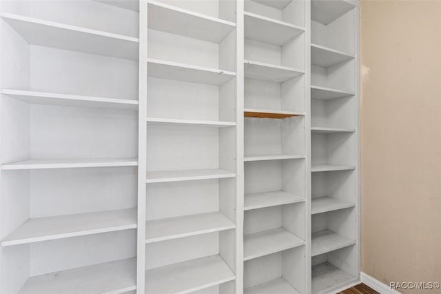 walk in closet with hardwood / wood-style flooring