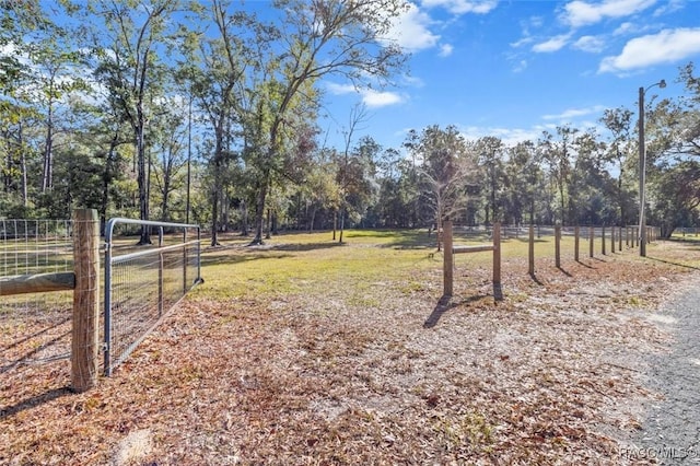 view of yard with a rural view