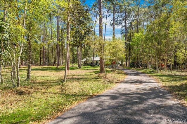 view of road featuring aphalt driveway