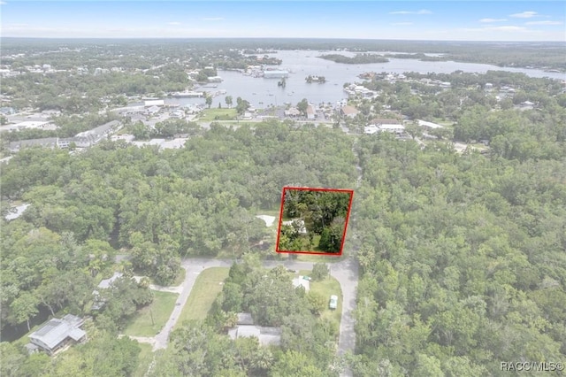 504 NW Crystal St, Crystal River, FL 34428 - photo 4