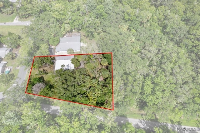 504 NW Crystal St, Crystal River, FL 34428 - photo 10