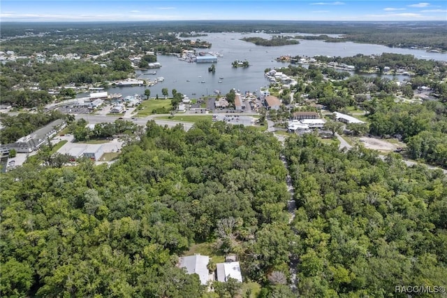 504 NW Crystal St, Crystal River, FL 34428 - photo 12