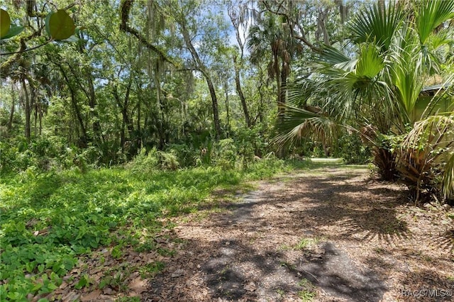 504 NW Crystal St, Crystal River, FL 34428 - photo 47