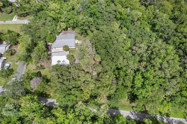 504 NW Crystal St, Crystal River, FL 34428 - photo 11