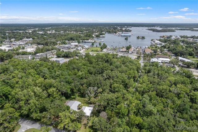 504 NW Crystal St, Crystal River, FL 34428 - photo 9