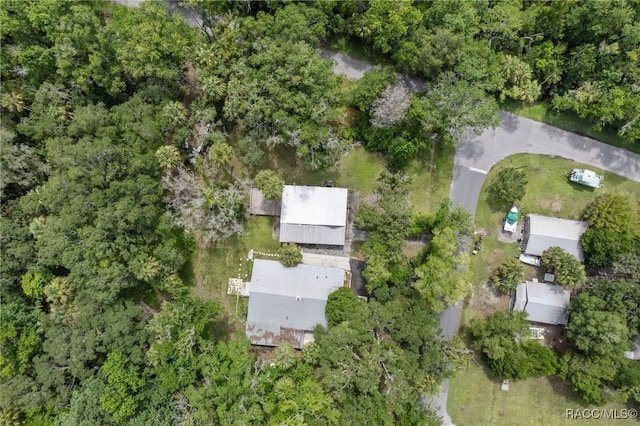 504 NW Crystal St, Crystal River, FL 34428 - photo 7