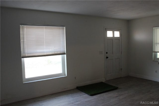 foyer featuring wood-type flooring