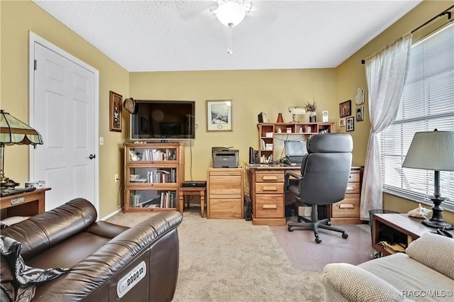 office space featuring carpet floors and a textured ceiling