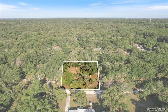 11388 N Moonlight Ter, Inglis FL, 34449 land for sale