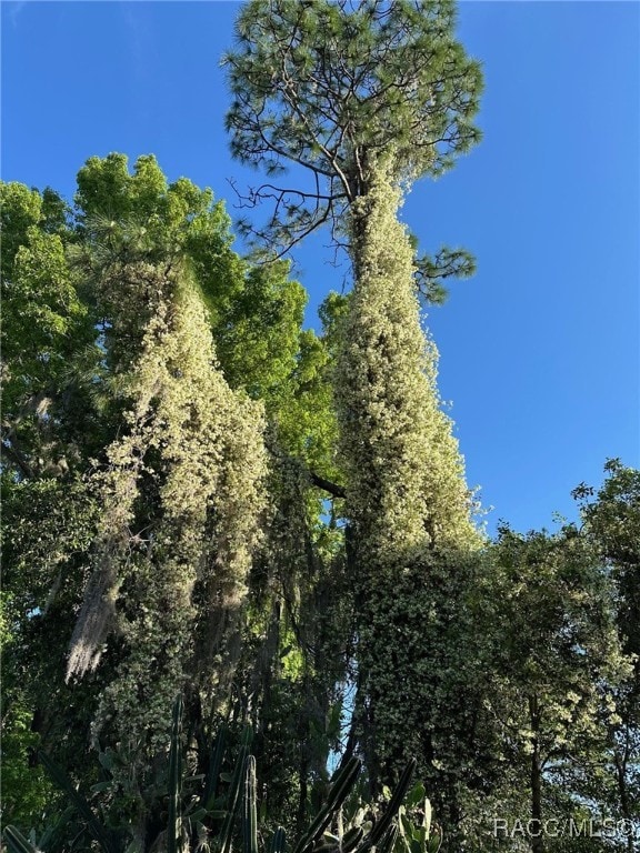 view of landscape