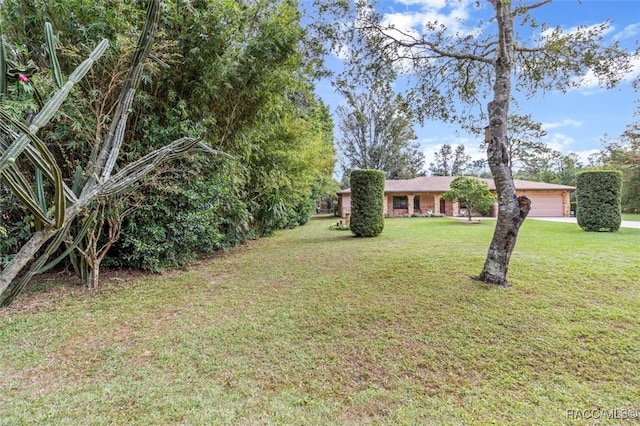 view of yard featuring a garage