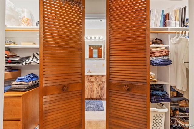 view of closet