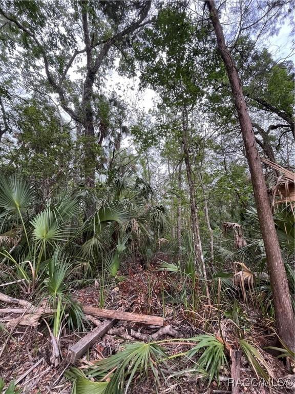 10389 W Larchwood St, Homosassa, FL 34448