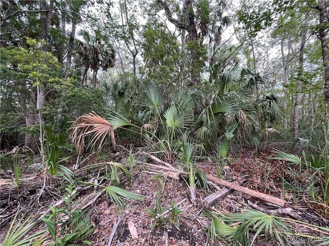 10389 W Larchwood St, Homosassa, FL 34448