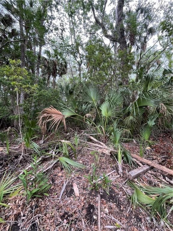 10389 W Larchwood St, Homosassa, FL 34448