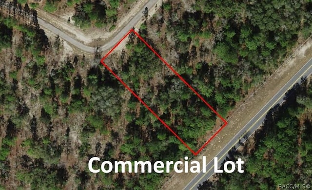 10522 N Elkcam Blvd, Citrus Springs FL, 34433 land for sale