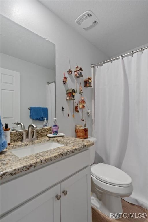10541 S Drew Bryant Cir, Floral City, FL 34436 - full bath with toilet, vanity, and visible vents