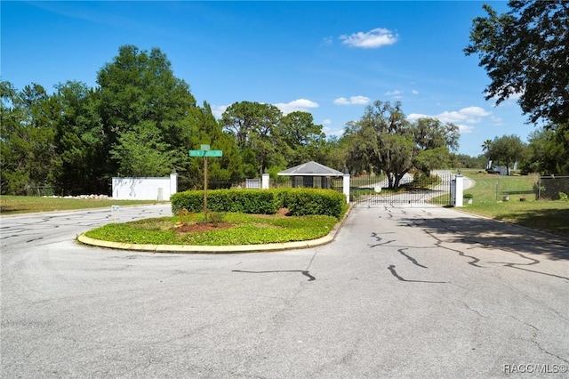 10541 S Drew Bryant Cir, Floral City, FL 34436 - view of street with curbs and a gate