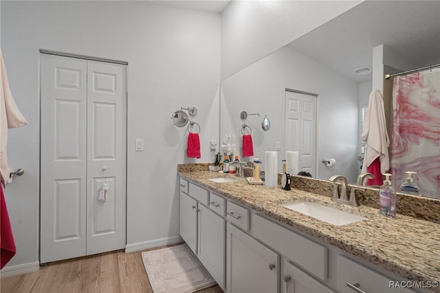 10541 S Drew Bryant Cir, Floral City, FL 34436 - bathroom featuring wood finished floors, a sink, double vanity, and a closet