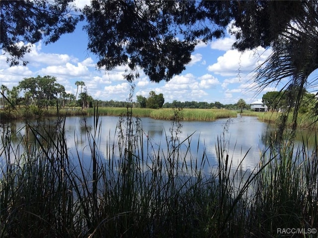 view of water feature