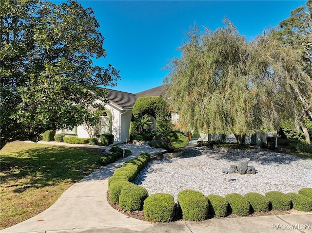 view of property hidden behind natural elements featuring a front lawn