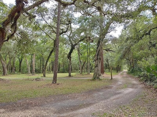 6464 E Grantham Ct, Hernando, FL 34442 - photo 21
